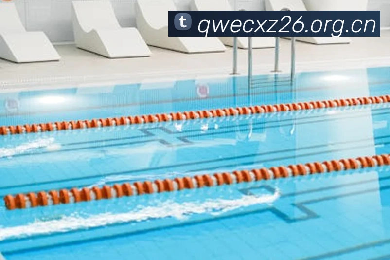 米兰官网入口服务体系